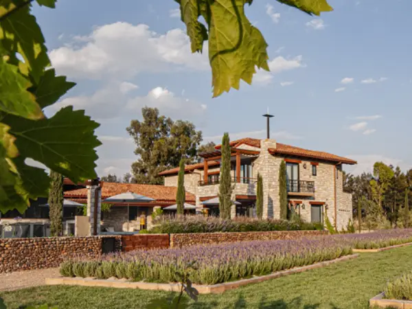 Domaine des Oliviers en Provence